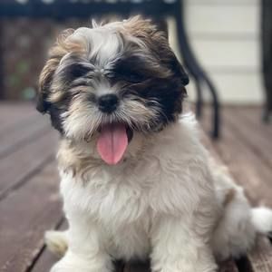 Meet your Posher, Lynn